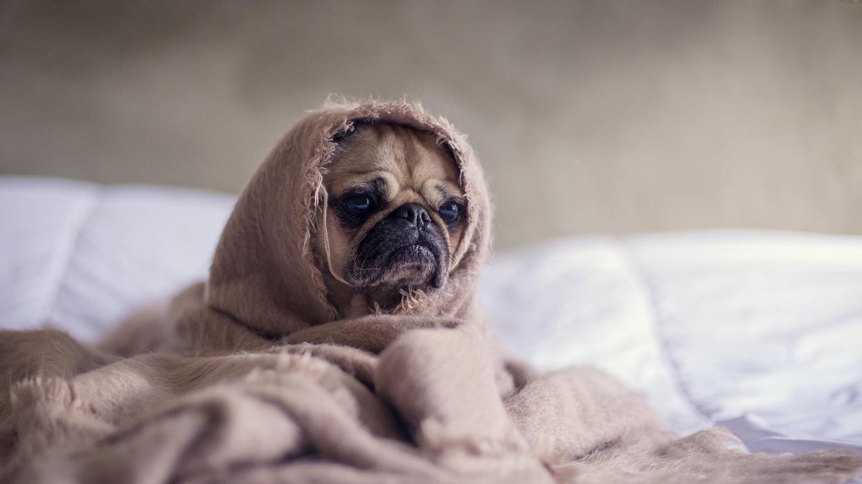 People Break Down The Things In Their Life That Are Making Them Unhappy
