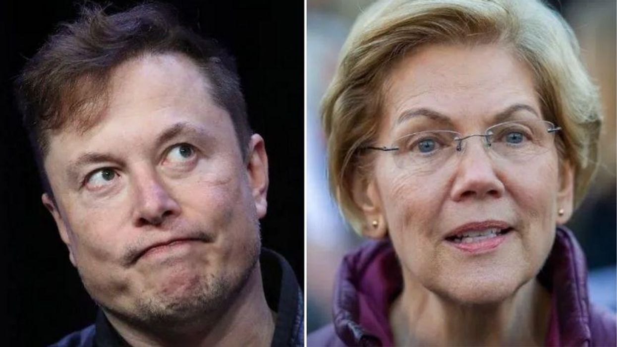 Elon Musk Had the Pettiest Response to Elizabeth Warren's Epic 'Man of the Year' Burn