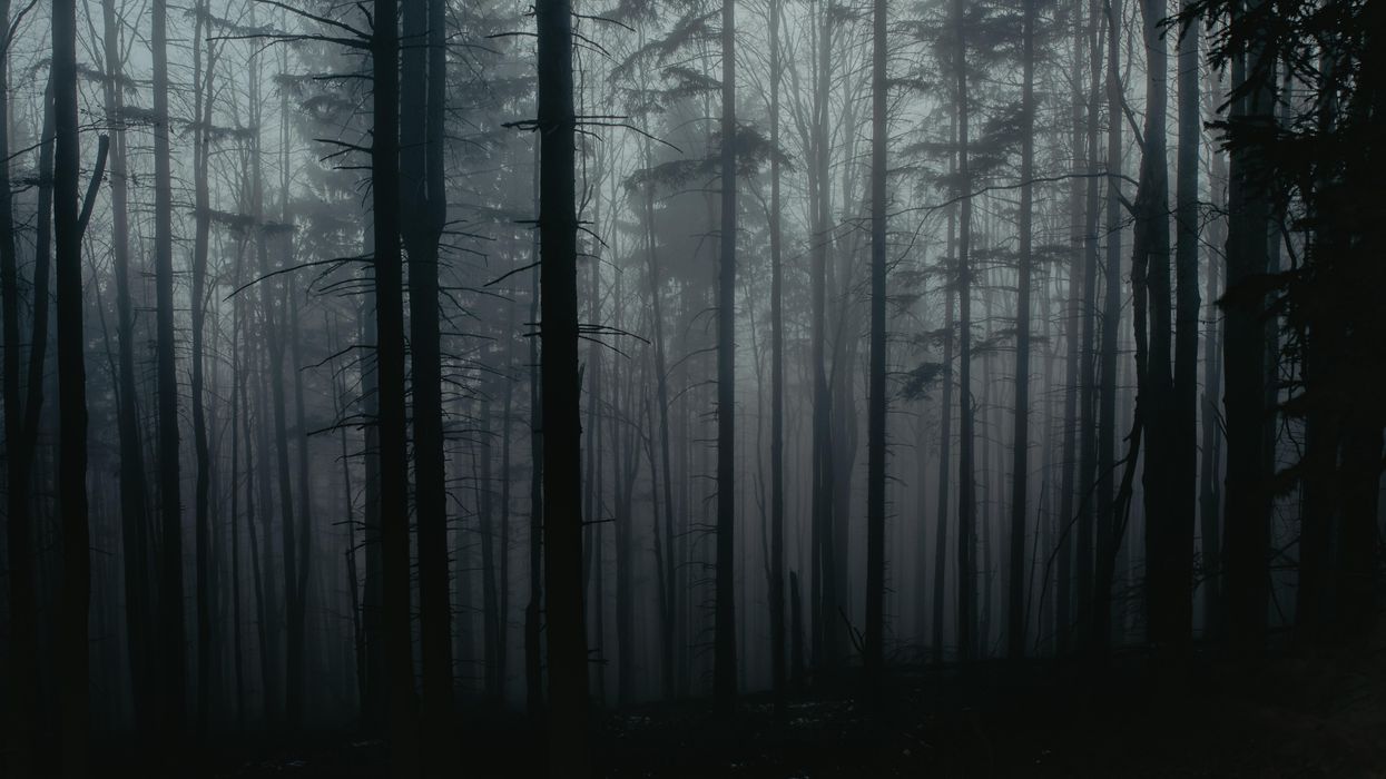 Night Owls Share The Scariest Things They've Seen