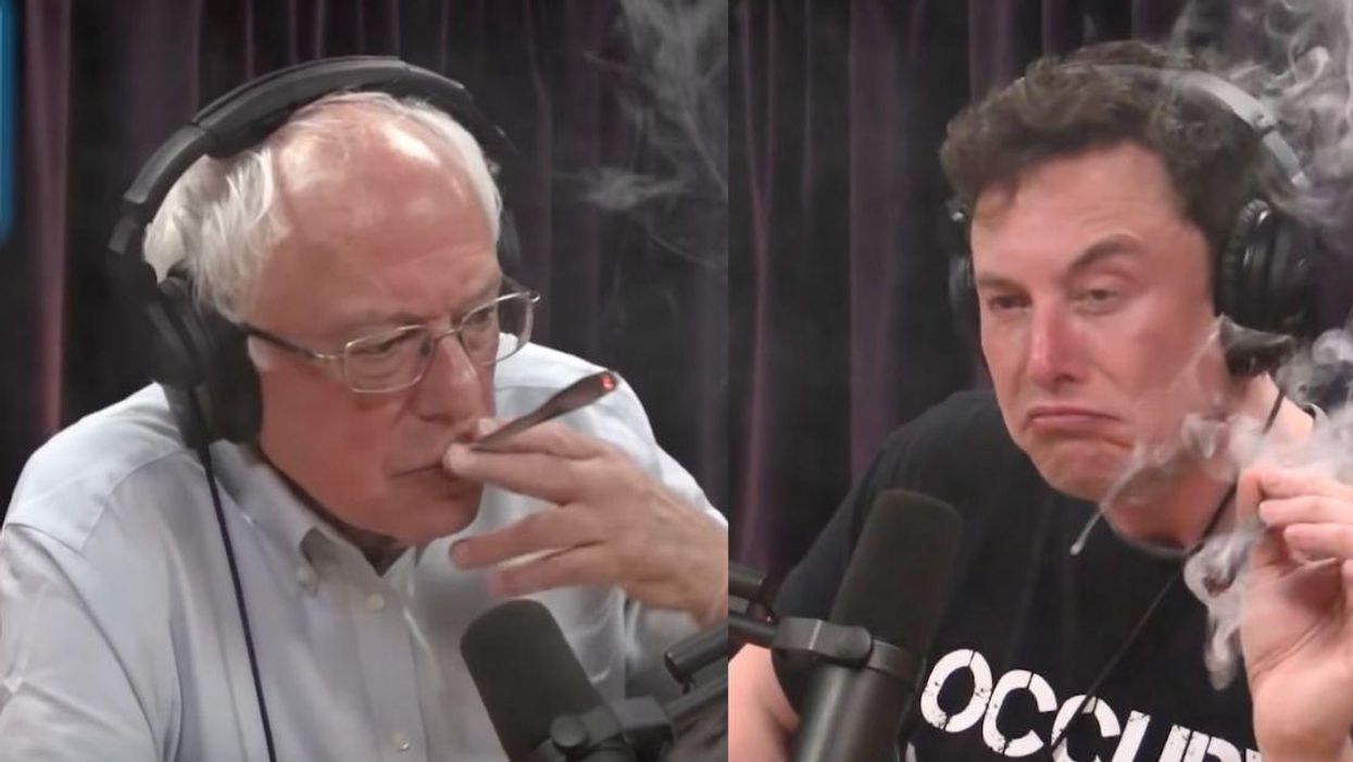 YouTuber's Parody Conversation Between Bernie Sanders And Elon Musk Is Eerily Realistic—And Hilarious