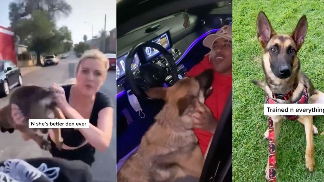 Guy Who Adopted Puppy After Woman Threw It At Him Shares Heartwarming Update A Year Later