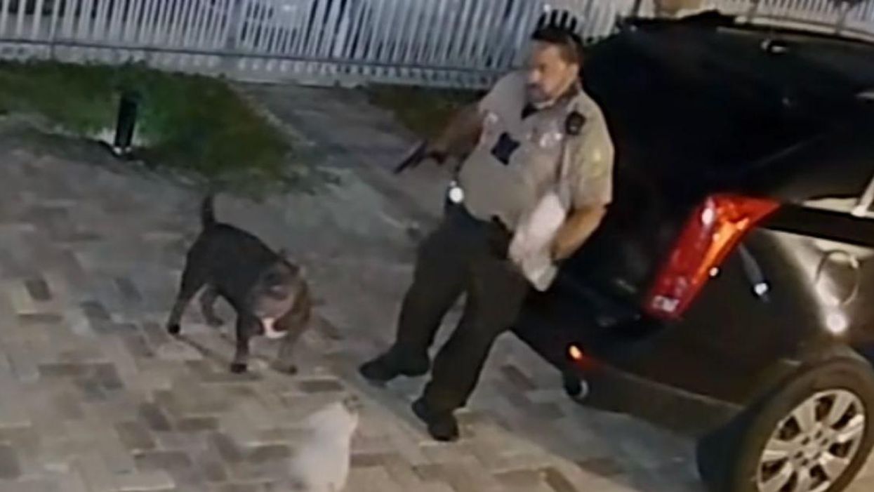 Family Horrified After Florida Cop Shoots Puppy Six Times While Responding To 'Barking Complaint' In Surveillance Video