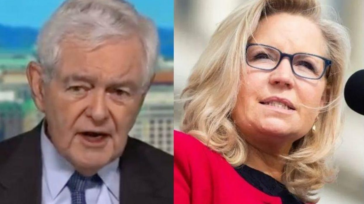 Liz Cheney Fires Back After Newt Gingrich Threatens Jan. 6 Committee Members With 'Risk of Jail'
