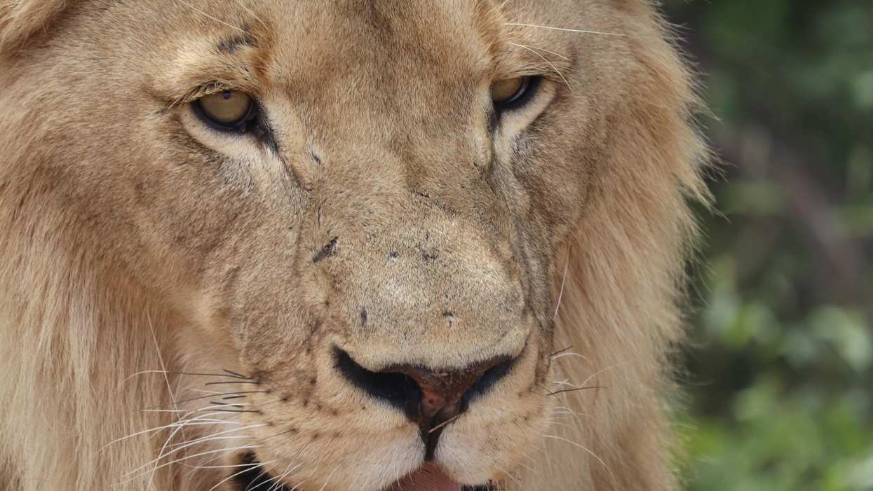 People Break Down Which Things Are Far More Disgusting Than Anyone Realizes