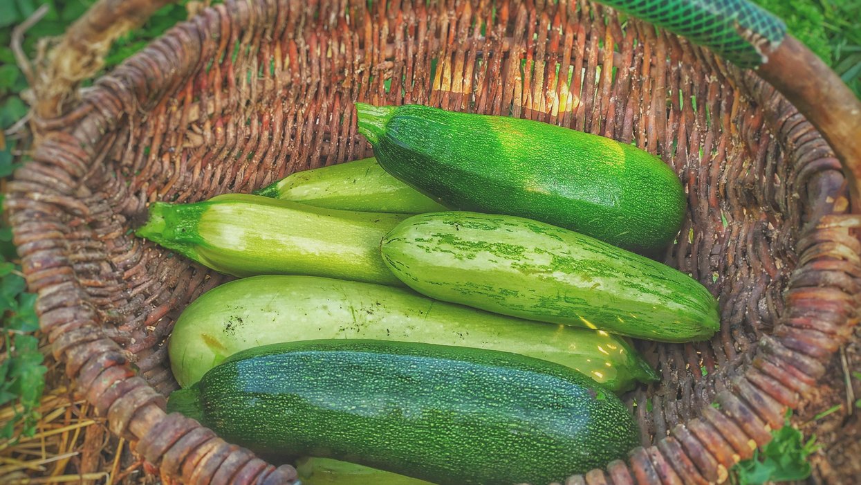 People Break Down The Situations Where Bigger Is Not Always Better