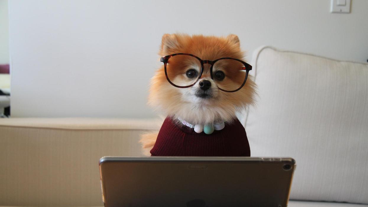 People Confess The Most Useless Skill They Possess