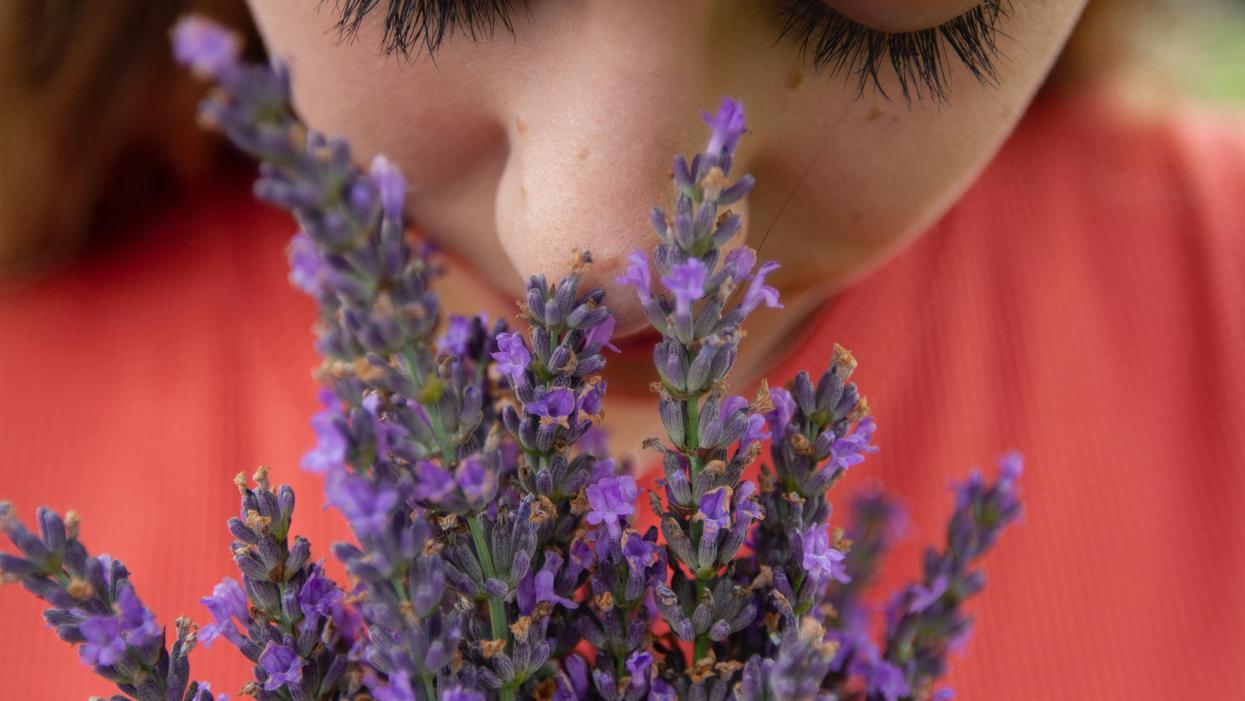 People Describe The Best Smells On Earth