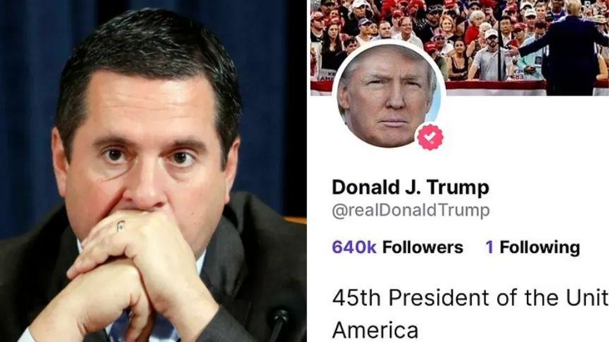 GOP Rep Who Left Congress to Run Trump's Social Platform Gets Roasted After Brutal Report