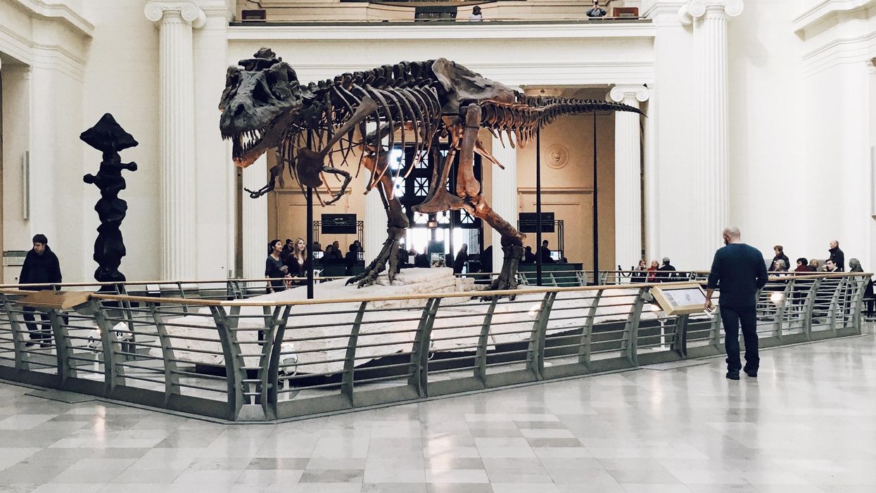 Museum Employees Describe The Coolest Things They've Ever Seen At Work