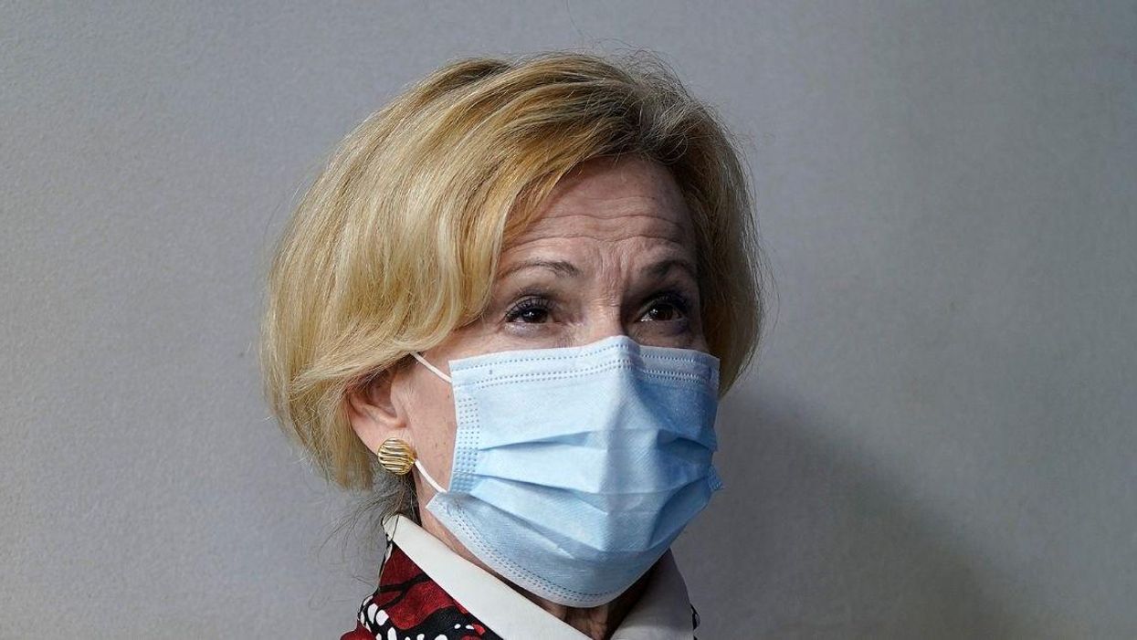 Dr. Birx Explains What Went Through Her Head When Trump Suggested 'Disinfectant' As Virus Cure