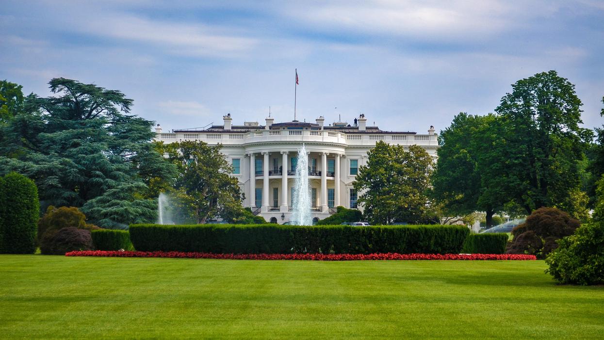 People Share Who They Want To Run For President Of The United States In 2024