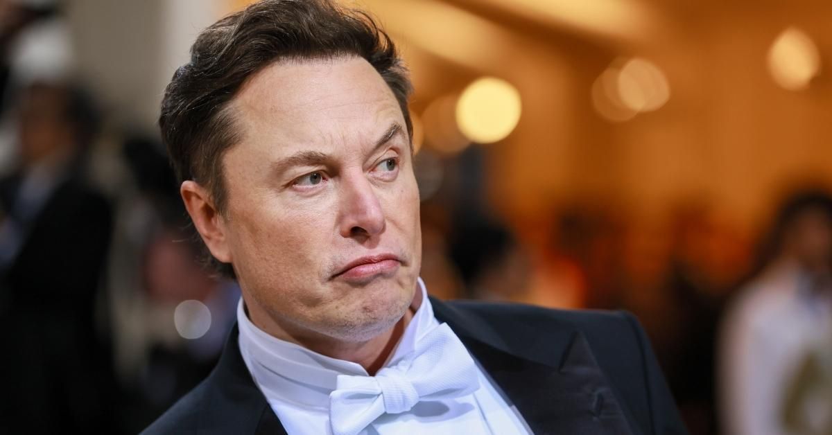 Elon Musk's Explanation For Why He Put His Twitter Deal On Hold Leaves People Very Skeptical