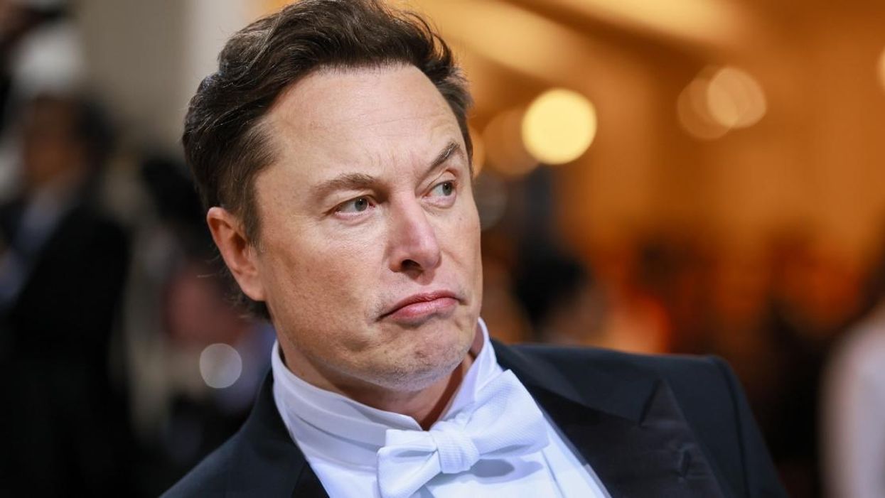 Elon Musk's Explanation For Why He Put His Twitter Deal On Hold Leaves People Very Skeptical