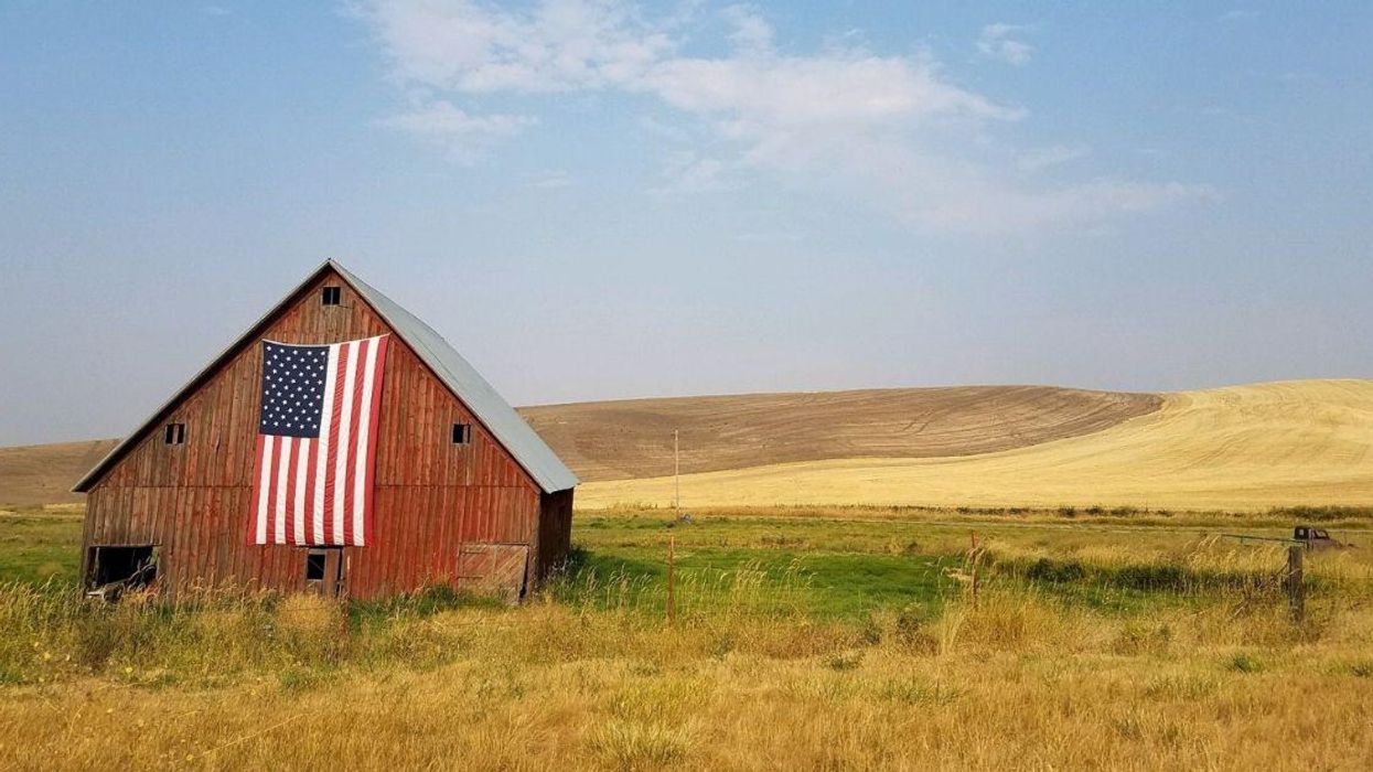 Europeans Explain What They Imagine Life Is Like In The United States