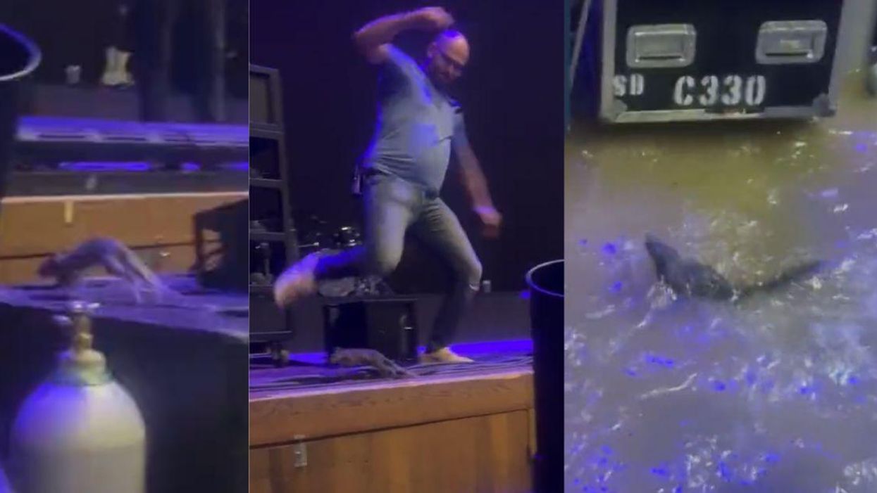 Video Of Guy Kicking Squirrel Off Stage At Halsey Concert During Torrential Downpour Sparks Outrage