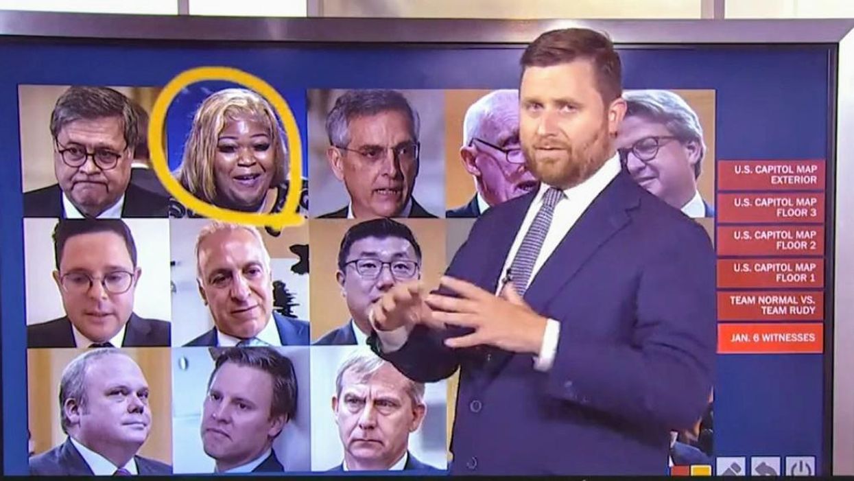 Journalist Has Twitter Giggling After Unintentionally Drawing Penis On Graphic Of Jan. 6 Witnesses