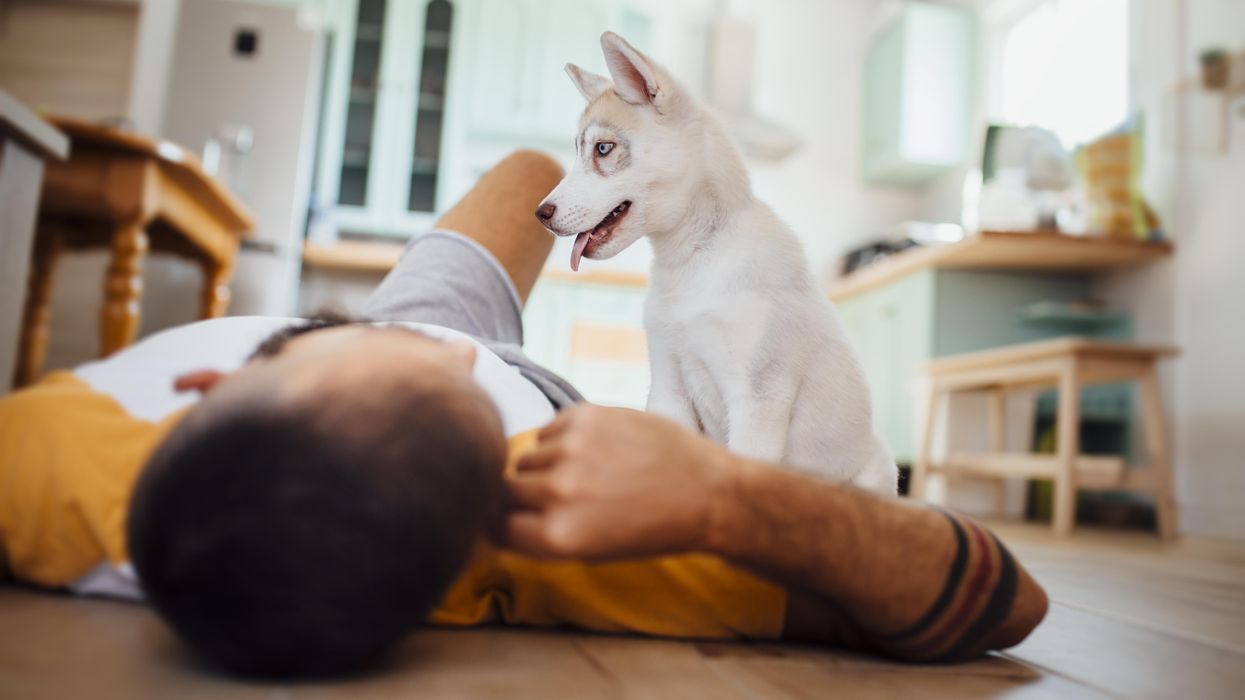 People Share The Most Comforting Facts They Know