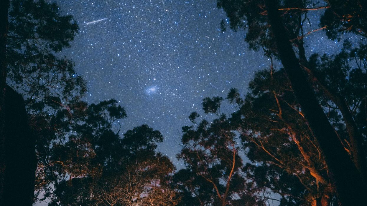 People Describe Their Scariest Camping Experiences