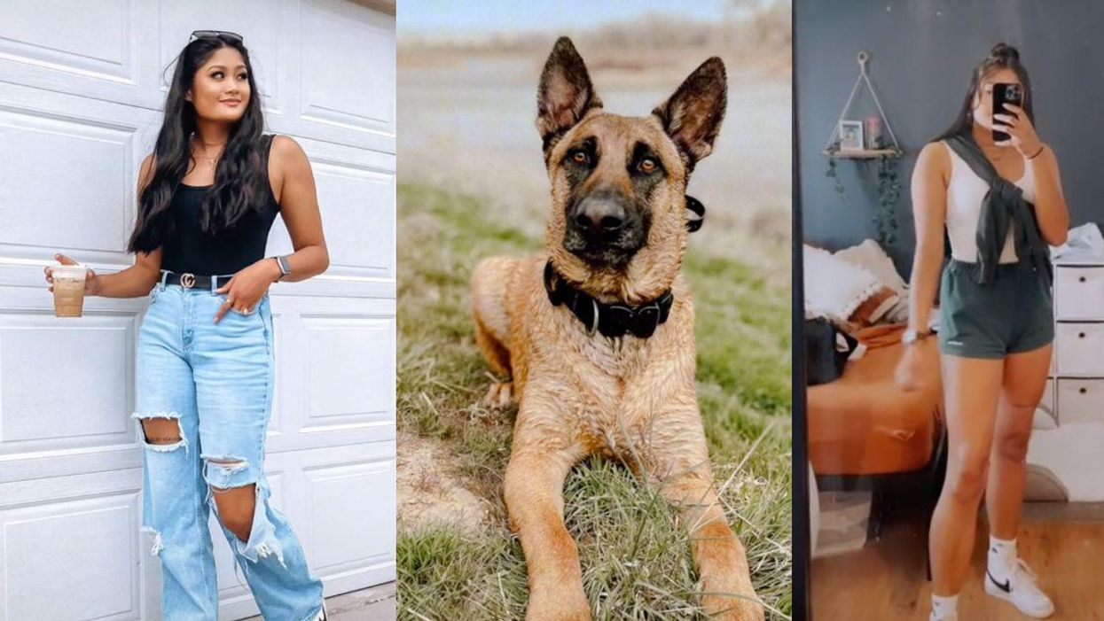Woman Horrifies TikTok By Revealing That Her Now-Ex-Boyfriend 'Cheated' On Her With Her Dog