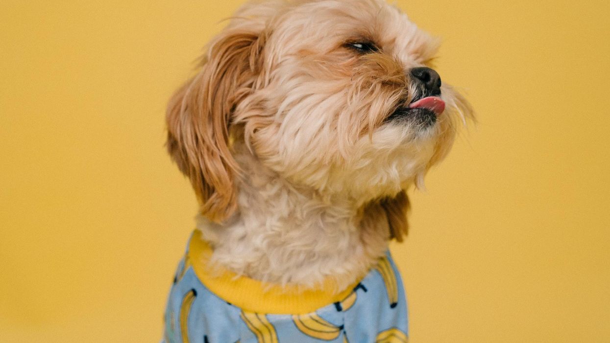 People Share Their All-Time Biggest Turn Offs