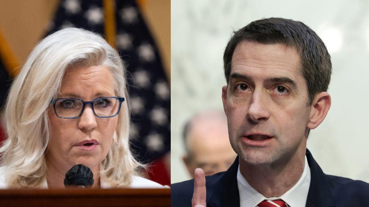 Liz Cheney Calls Out GOP Senator For Jan. 6 Committee Criticism In Brutal Tweet