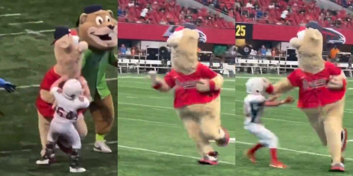Atlanta Braves Mascot Blooper Mows Down Peewee Football Players: VIDEO -  Comic Sands