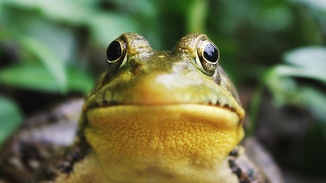 People Share Myths Passed From One Generation To The Next That Some Folks Still Believe