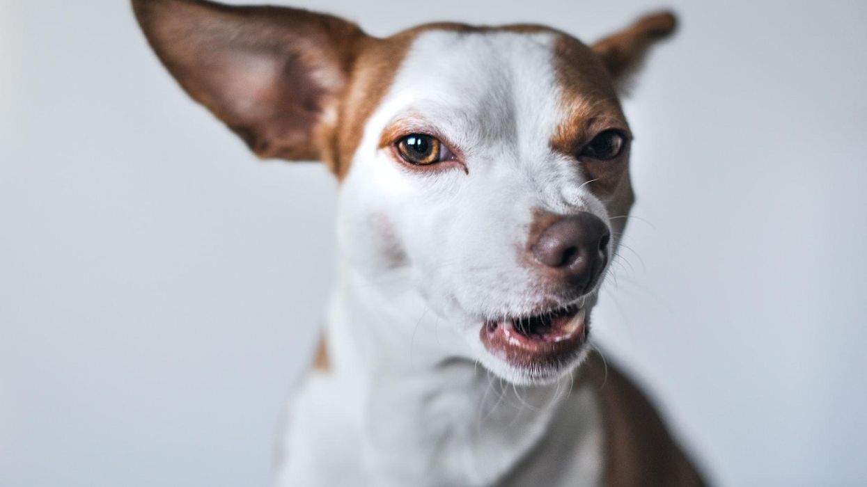 People Explain Which Things Others Find Sexy That They Just Don't Understand