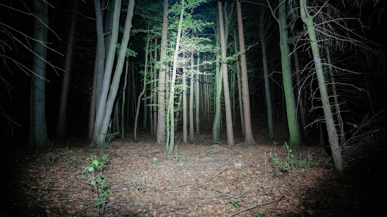 People Who Work In Remote Locations Share The Creepiest Things They've Witnessed