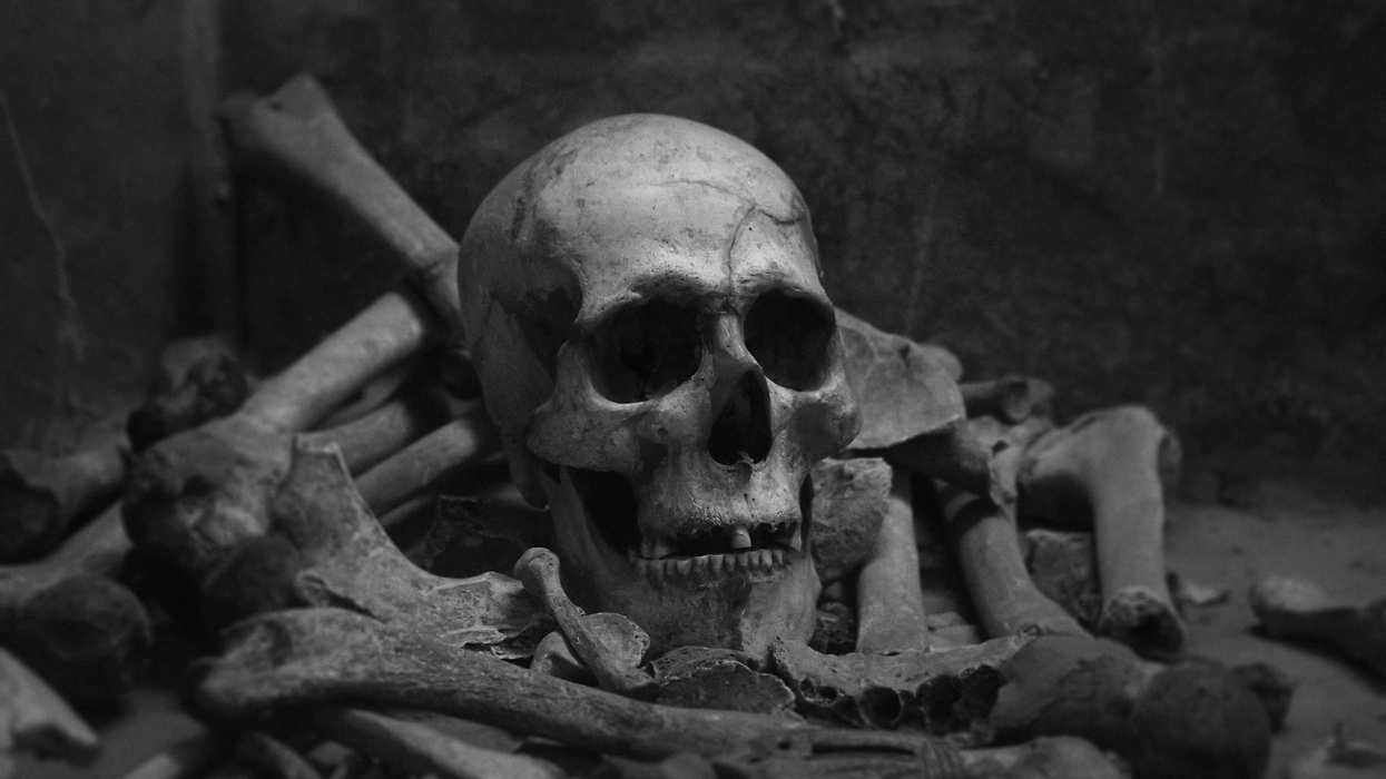 People Who Have Discovered Human Remains Share Their Experiences