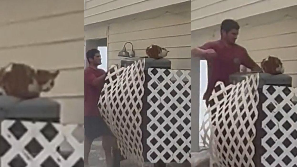 Man Becomes Viral Hero After Saving Cat Stranded On Air Conditioner As Hurricane Ian Rages