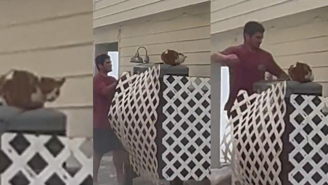 Man Becomes Viral Hero After Saving Cat Stranded On Air Conditioner As Hurricane Ian Rages