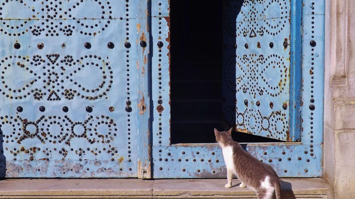 People Confess The Darkest Secrets They've Learned About Their Family