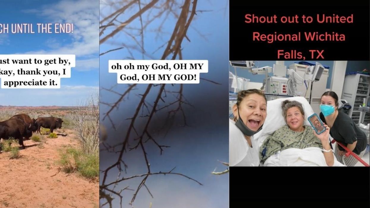 Woman On Solo Hike Gets Gored By Bison While Filming Them Crossing Path In Scary TikTok Video