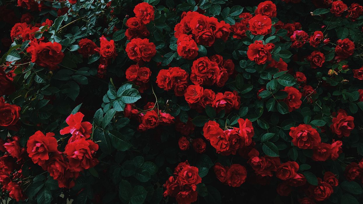 People Describe Their Favorite Simple Pleasure In Life