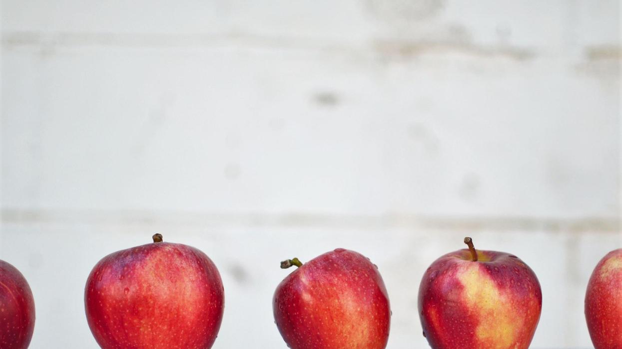 Teachers Share Their Best 'The Parent Is Just As Bad As The Student' Stories