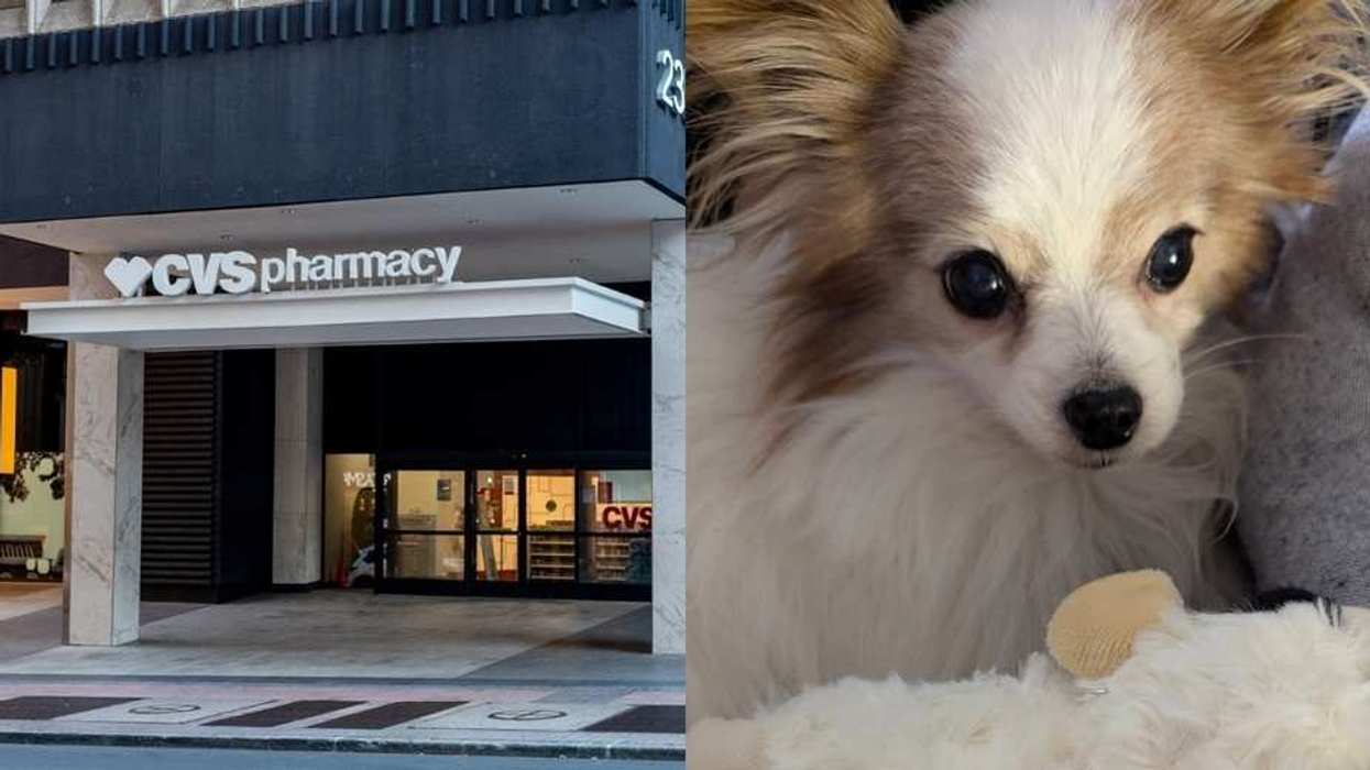 CVS Warns Pet Owner They'll Lose Access To Dog's Medical Records Once He Turns 18 And Is A 'Legal Adult'—And Here Come The Jokes