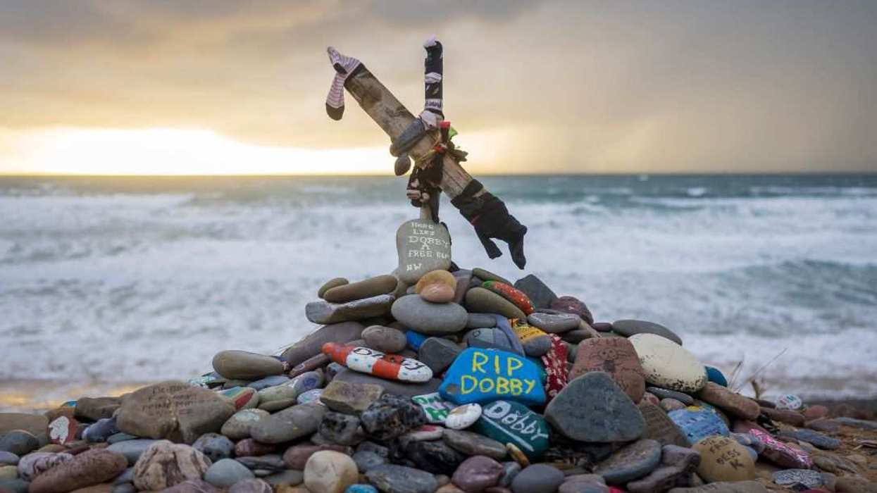 'Harry Potter' Fans Force $580 Million Underwater Power Cable To Be Rerouted Due To Fictional 'Grave' Site