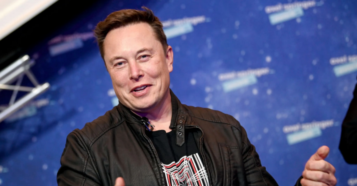 People Explain Why They Feel The Need To Defend Elon Musk