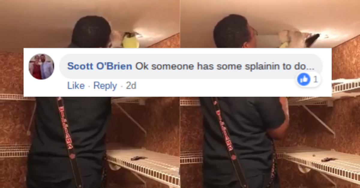Firefighters Come To The Rescue After Poor Pup Gets Stuck In Ceiling Duct 😢