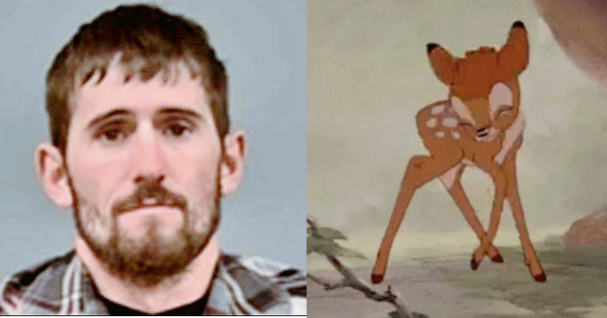 Missouri Deer Poacher's Sentence Includes Odd And Extremely Fitting Punishment 😮