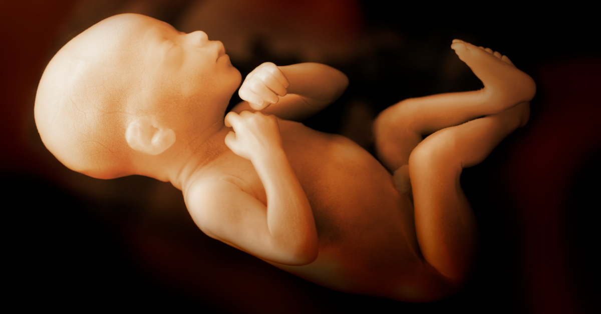 Newborn Baby Gives Doctors A Shock After They Discover Her Twin Is Growing Inside Her Abdomen