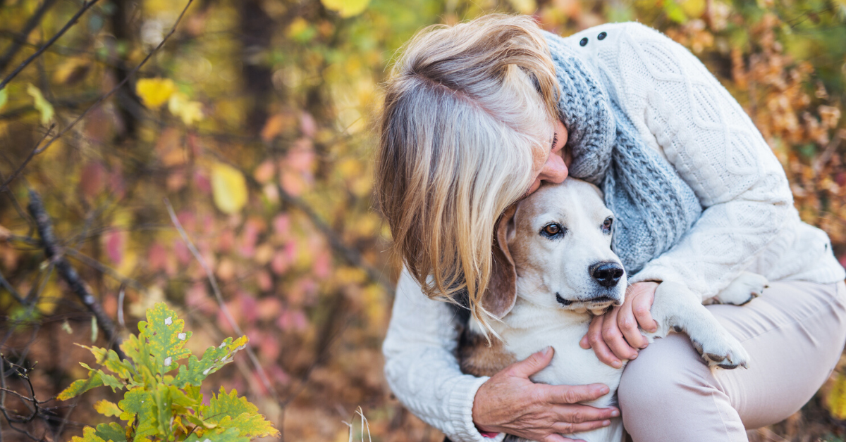 Redditor Refuses To Give Lost Dog They Adopted Back To Its Original Owner Since It's Now Their 'Support Animal'