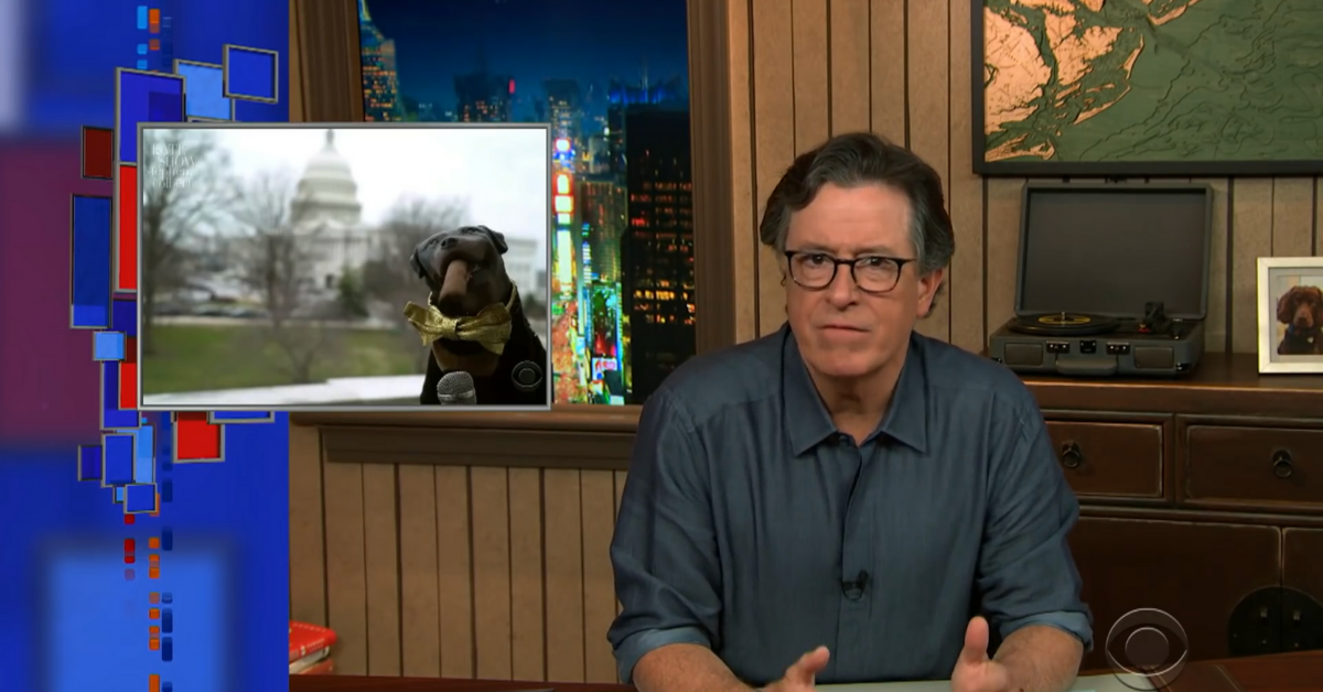Triumph The Insult Comic Dog Hilariously Shows Just How Far Trump Supporters Will Go To Defend Him