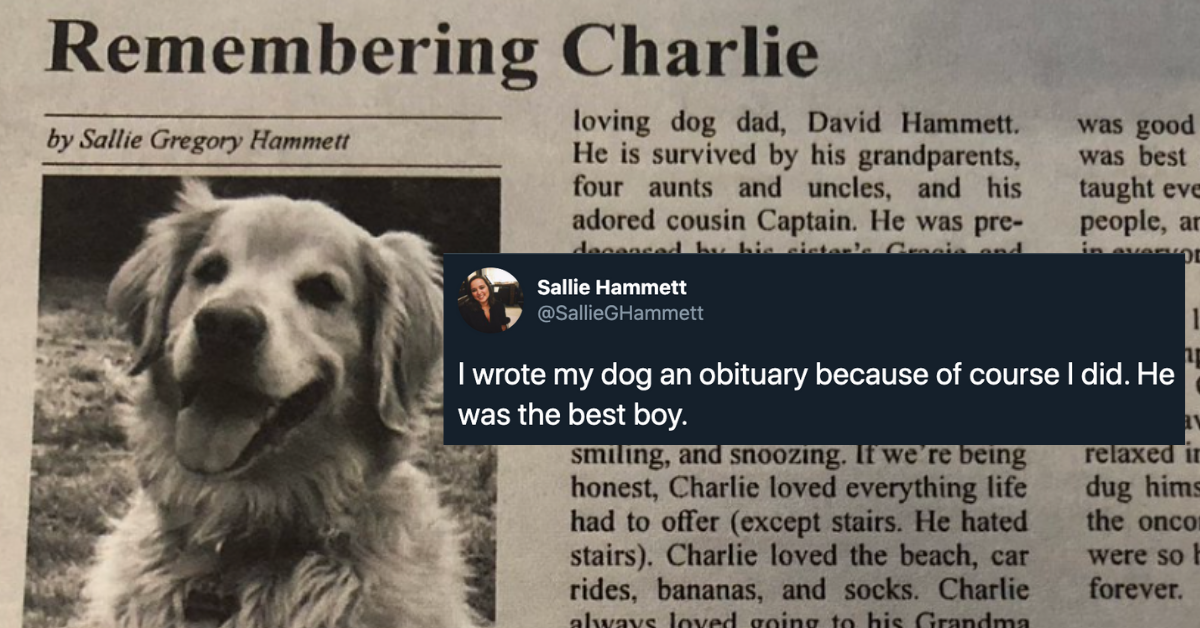 Woman's Heartfelt Obituary For Her Beloved Golden Retriever Has Twitter Feeling Very Emotional