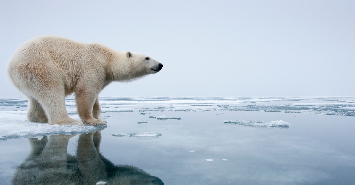 BBC Website For Kids Sparks Backlash After Listing The 'Positive' Impacts Of Climate Change