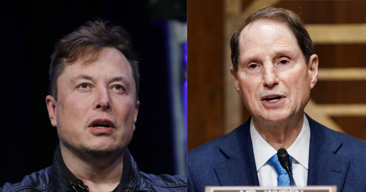 Elon Musk Responds To Dem. Senator's Criticism About 'Tax Avoidance' With Crass Sex Joke