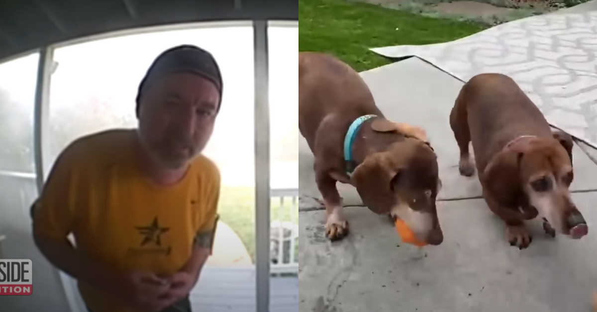 Jogger Uses Doorbell Cam To Alert Family Their House Is On Fire Before Saving Their 4 Pets