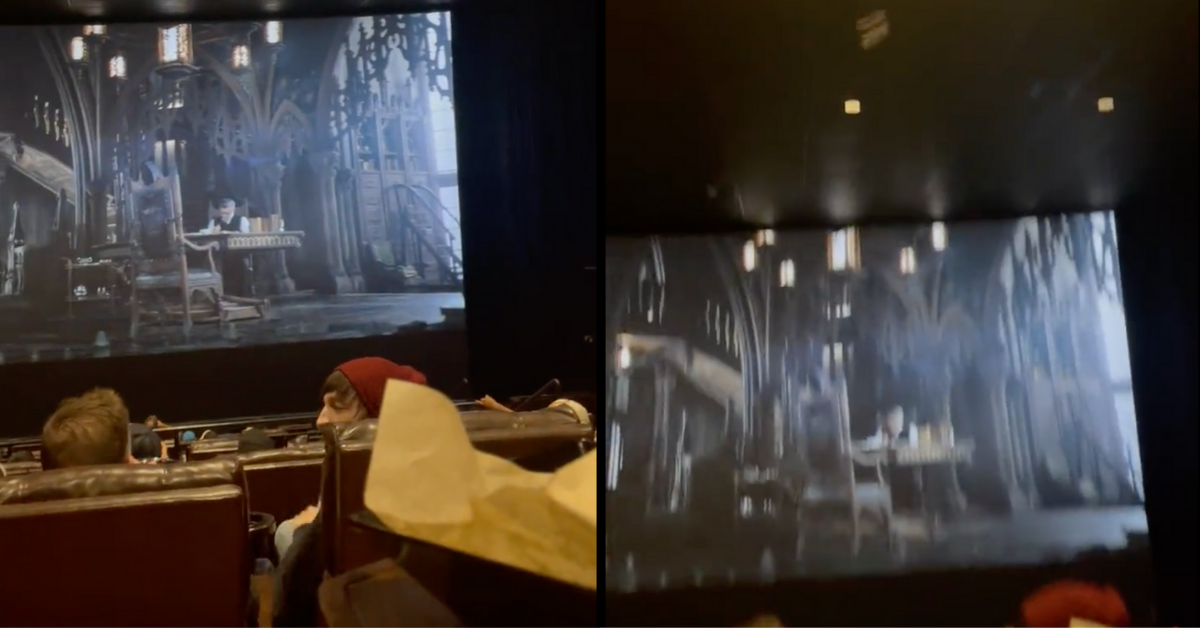 Texas Moviegoers Freak Out After Live Bat Starts Flying Around Theater During 'The Batman' Showing