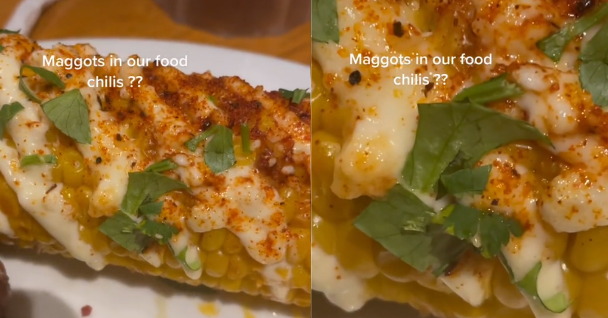 Woman Discovers Something Moving In Her Food At Chili's–And TikTok Is Grossed All The Way Out